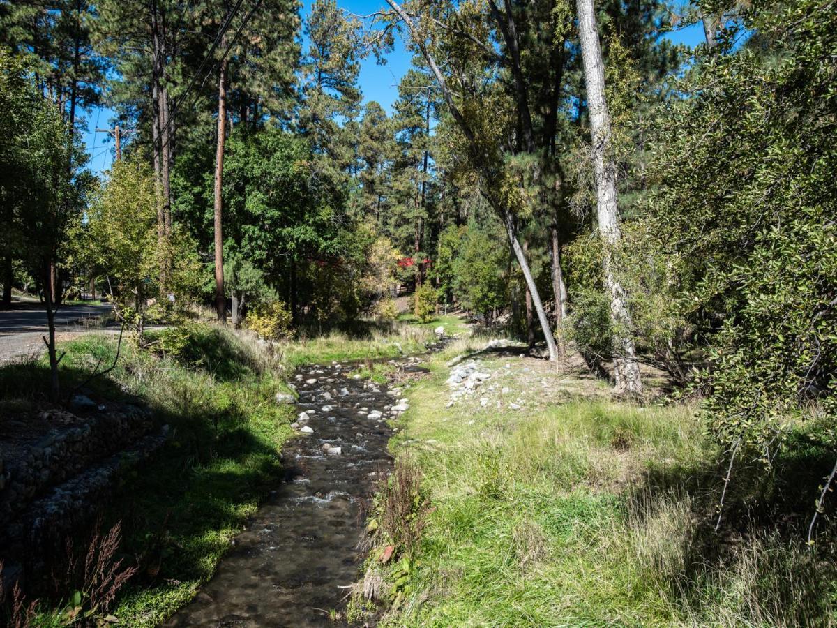 Apache Village 4, King Studio, Midtown, Sleeps 2 Ruidoso Dış mekan fotoğraf